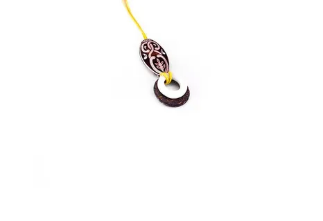 复制空间、工作室拍摄、室内、白色背景、特写、无人、食物和饮料、动物