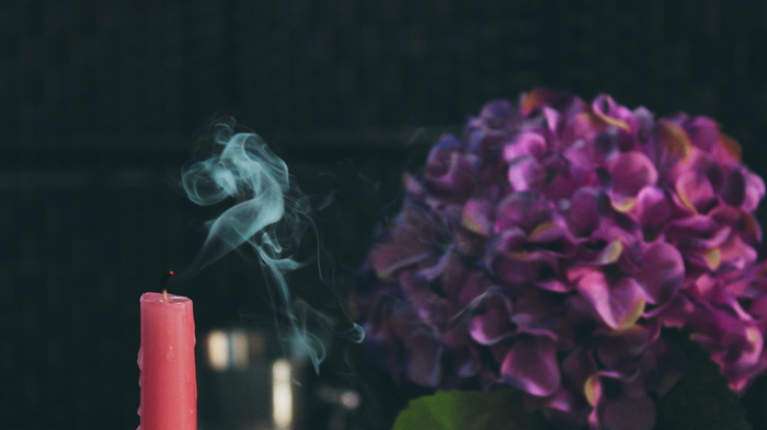 粉红，蜡烛，紫罗兰，花，模糊，显示，黑暗，开花植物