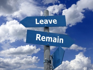 脱欧、脱欧、留欧、退出、英国、政治、英国