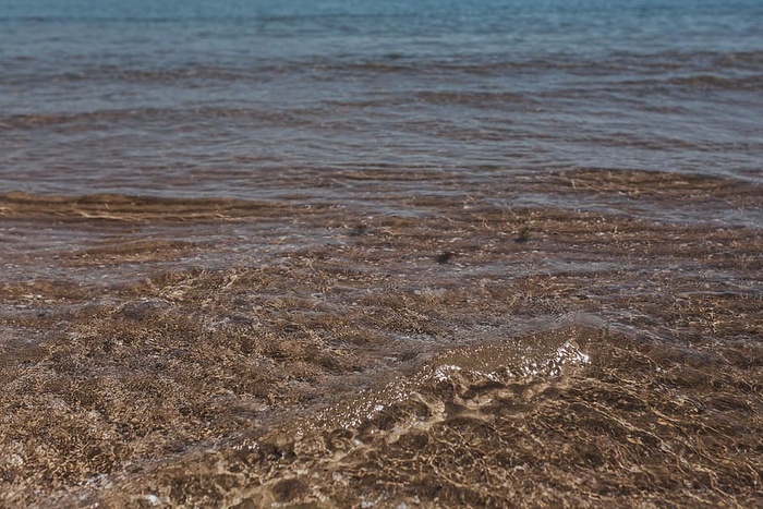 沙滩上的海浪