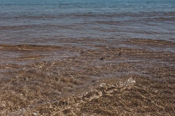 沙滩上的海浪