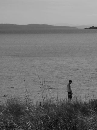 澳大利亚，霍巴特，唐纳利，海滩，人，气氛，单色，自然