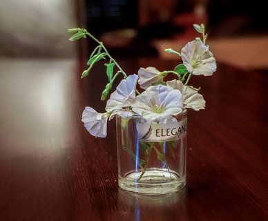 玻璃、花朵、装饰、彩色、蓝色、装饰、背景、浪漫