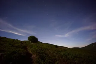 绿色、草、树、植物、自然、山、高地、云