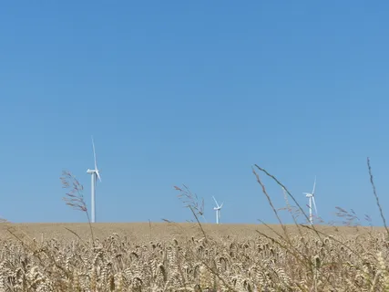 windräder,风电场,风力发电,风能,夏天,田地,谷物,天空 windräder,风电场,风力发电,风能,夏天,田地,谷物,天空
