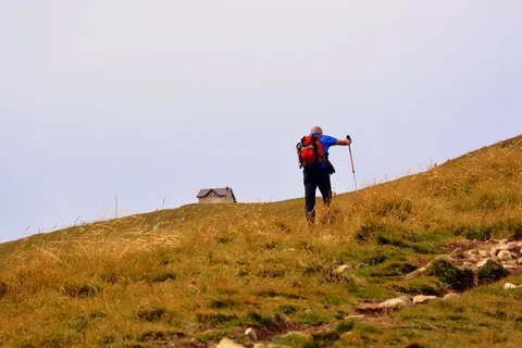 小径、徒步旅行、攀登、避难所、步行、高山、巴尔多、意大利