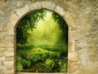 绿色、植物、树木绘画、幻想、大门、拱门、大门、魔法