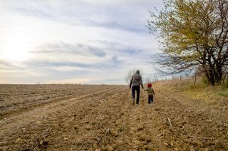 男人，男孩，散步，土路，棕色，树木，自然，平原