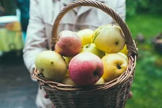 篮子里的苹果，农业，苹果，苹果，秋天，篮子，作物，美味