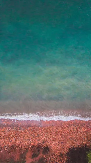 红色和蓝色海岸线Iphone屏幕照片