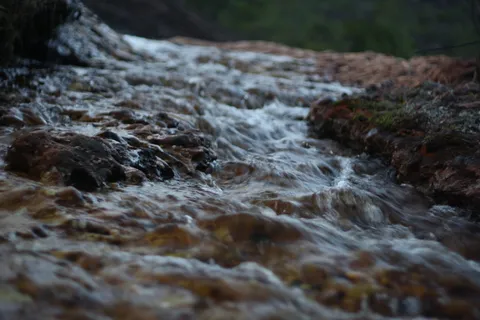 水、自然、户外、溪流、小溪、河流、巴西、莱诺伊斯、巴伊亚