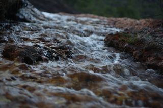 水、自然、户外、溪流、小溪、河流、巴西、莱诺伊斯、巴伊亚