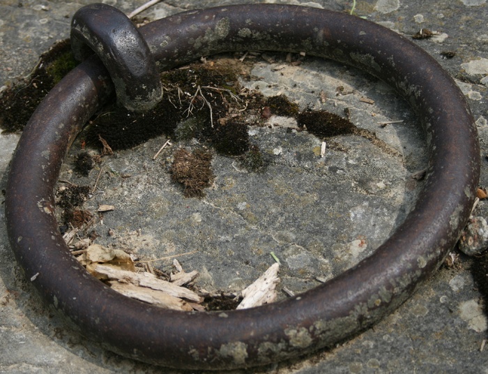 锚，坚固，法国，金属，无人，特写，旧，生锈
