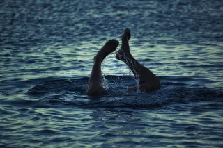 人，跳水，水，脚，人，跳水，游泳，海