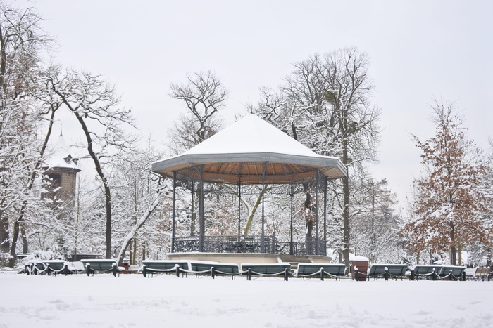雪、亭、花园、巴黎、冬天、城市、寒冷温度、树木