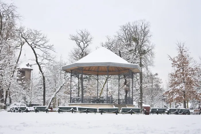 雪、亭、花园、巴黎、冬天、城市、寒冷温度、树木