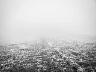 雾，泽，冷，冷，冬天，雾，山，黑暗