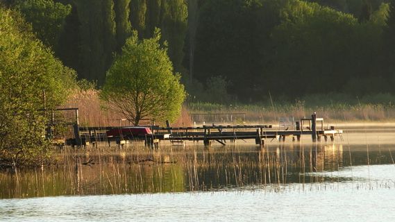 水、网络、投资者、码头、码头、无声、创建网络、工厂