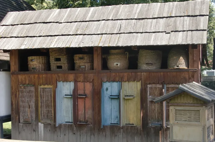 蜂窝，传统，旅游，木质材料，建筑结构，建筑，建筑，建筑外观