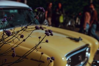 黄色车, 焦点照片, 紫色, 花, 黄色, 车辆背景, 老爷车, 汽车