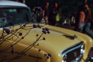 黄色车, 焦点照片, 紫色, 花, 黄色, 车辆背景, 老爷车, 汽车