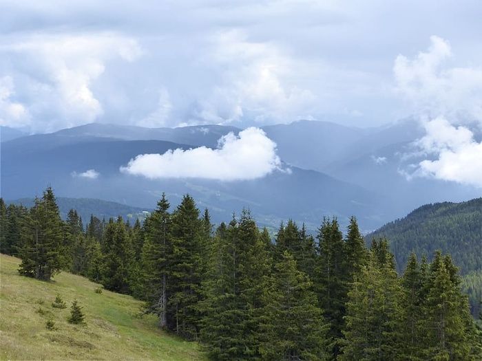 云，山，森林，风景，森林，自然景观，心情，树木