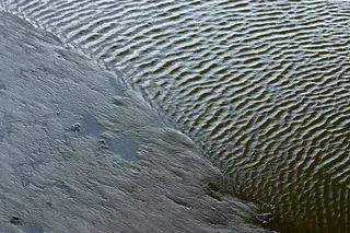 水、户外、自然、沙子、涟漪、动物、鸟类、河流