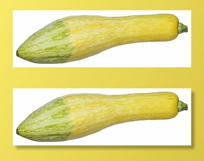 蔬菜、维生素、饮食、食物、饮食、烹饪、配料、健康