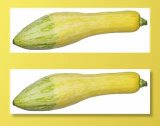 蔬菜、维生素、饮食、食物、饮食、烹饪、配料、健康