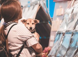 狗，宠物，眼睛，可爱，情感，生活，人，爱