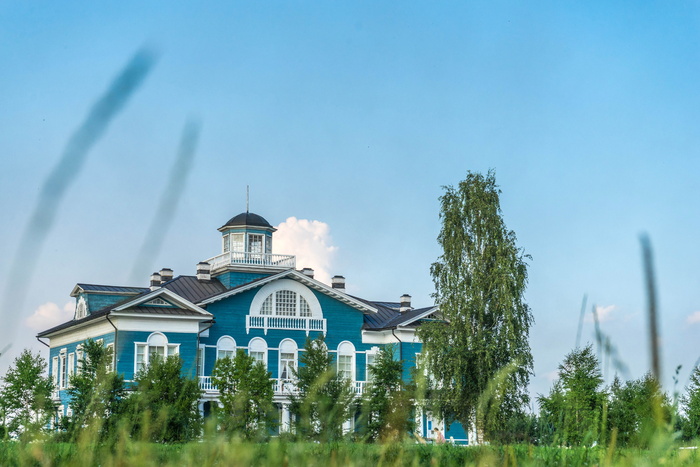 青色，白色，木制，房屋低角度摄影，房屋，建筑，绿色，树木