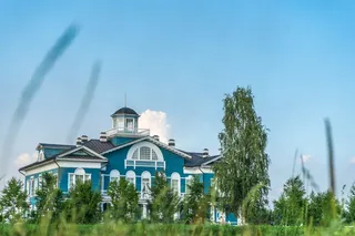 青色，白色，木制，房屋低角度摄影，房屋，建筑，绿色，树木