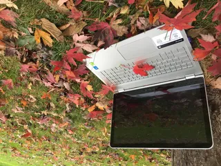 笔记本电脑，笔记本电脑，树，树，户外，户外，树叶，秋天