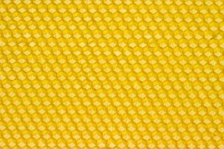 无标题，蜂蜡，蜂蜜，蜜蜂，蜂巢，勤劳，蜡，黄色