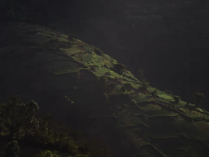 景观摄影，水稻梯田，区域，景观，树木，绿色，草，高地