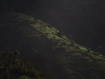 景观摄影,水稻梯田,区域,景观,树木,绿色,草,高地 景观摄影,水稻梯田,区域,景观,树木,绿色,草,高地