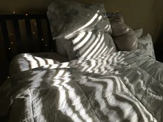 美国，雷德蒙，黑暗，图案，早晨，床单，灯光，床