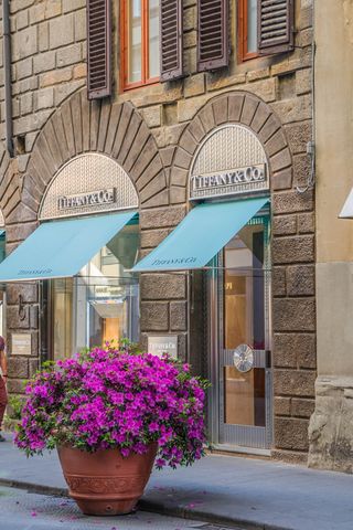 紫色，矮牵牛花，棕色，粘土壶，佛罗伦萨，意大利，花，粉色