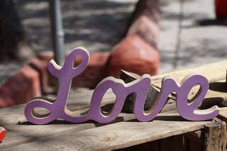 字母，单词，字母，字体，爱情，盾牌，红色，树林