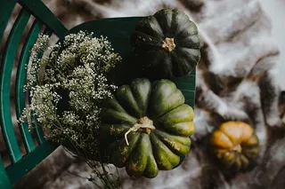 绿色南瓜俯视图