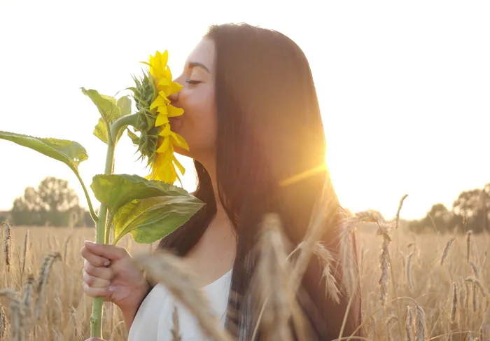 女士，穿着，白色，上衣，手持，黄色，向日葵，站立