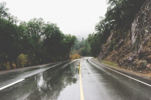 道路、水坑、潮湿、雨水、乡村、岩石、树木、树木