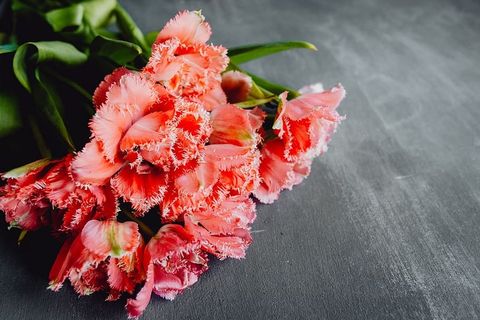 灰色背景上的彩色花朵,带有复制空间 灰色背景上的彩色花朵,带有复制空间