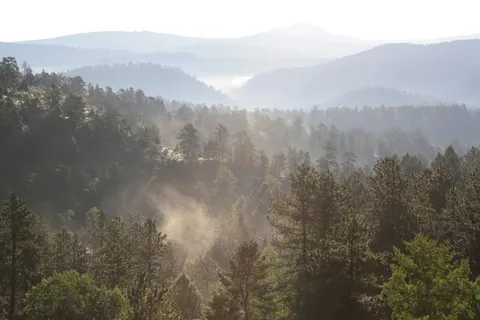 山, 日出, 公园, 阳光, 黎明, 树, 自然, 薄雾