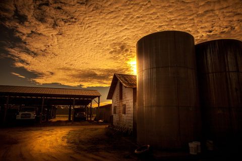 粮仓附近的谷仓