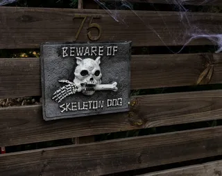 万圣节，骷髅，骷髅，当心，节日，场合，恐怖，恐怖