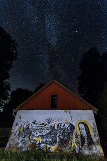 树旁的棕色和白色小屋