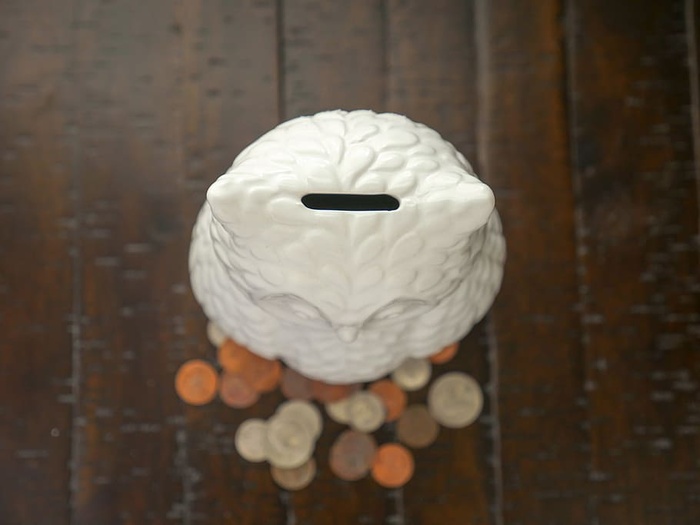 猫头鹰储物罐顶部被硬币包围的平面视图