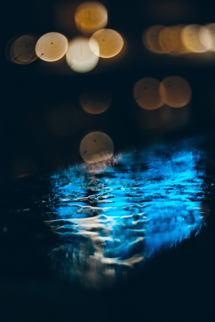 水体的选择性聚焦摄影