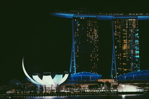 新加坡、滨海湾、莲花、艺术科学、建筑、建筑、建筑结构、夜间
